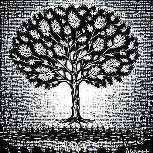 The Satsuma Liquidation: A Forensic Breakdown of the $43 Million BTC Unwind