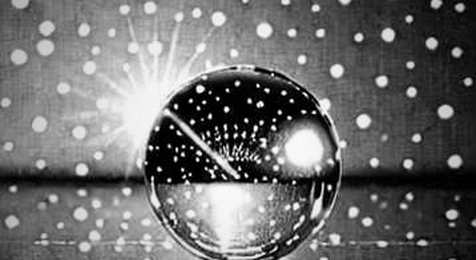 The 1.3M User Mirage: Why Fomo’s ‘Influence-Driven’ Growth Screams Liquidity Trap The 1.3M User Mirage: Why Fomo’s ‘Influence-Driven’ Growth Screams Liquidity Trap