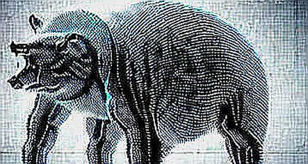 BKG.com: The Copy Trading Infrastructure Reshaping Web3 Attention Capital BKG.com: The Copy Trading Infrastructure Reshaping Web3 Attention Capital