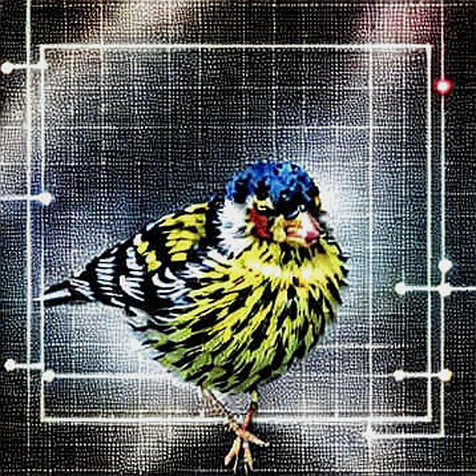 The Great Semiconductor Rotation: Why Hedge Funds Are Dumping NAND and Buying TSMC—and What It Means for Crypto
