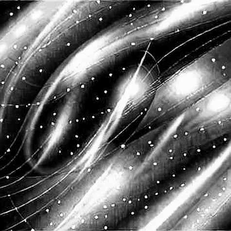The Hedge Signal: Why North American Funds Are Pricing in a Storm the Market Refuses to See The Hedge Signal: Why North American Funds Are Pricing in a Storm the Market Refuses to See