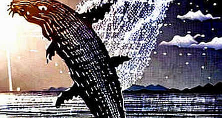 The Oracle Problem: Reading the Fed's Rate Hold Through a Cryptographic Lens